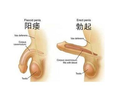 藥物治療方案