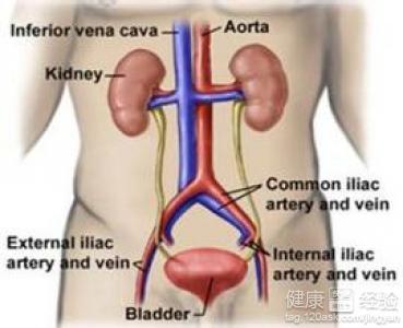 前列腺疾病的治療與藥物選擇，前列腺疾病治療與藥物選擇攻略