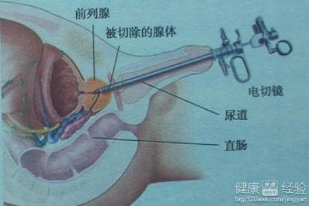 chenhaoqian 第8頁