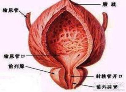 如何按摩男性前列腺，一種健康護(hù)理的指南，男性前列腺按摩指南，健康護(hù)理的秘訣