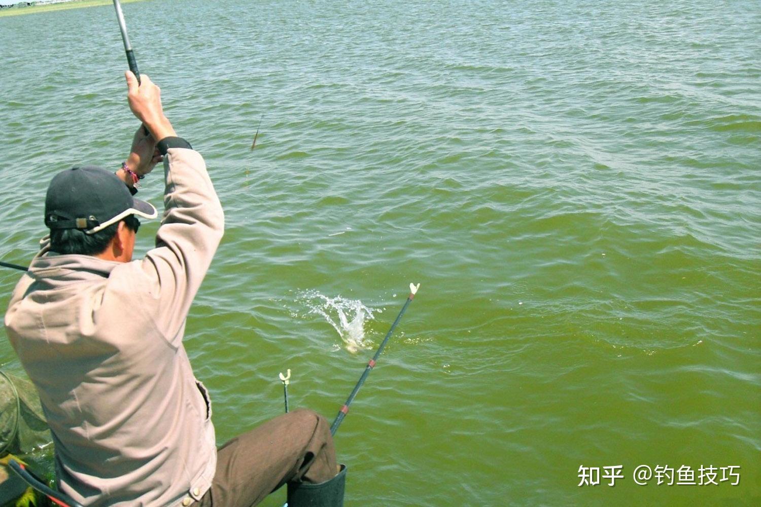 釣魚(yú)技巧詳解，如何精準(zhǔn)捕捉心儀的魚(yú)獲，釣魚(yú)技巧全解析，精準(zhǔn)捕捉心儀魚(yú)獲攻略