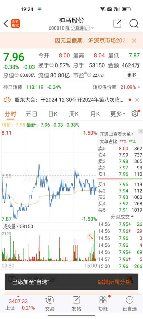 神馬股份（股票代碼，600810）股吧深度解析，神馬股份（股票代碼，600810）股吧全面深度解析