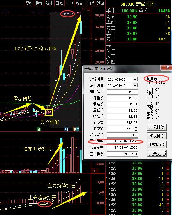 股票603336，深度解析與前景展望，股票603336深度解析與前景展望，投資視角分析