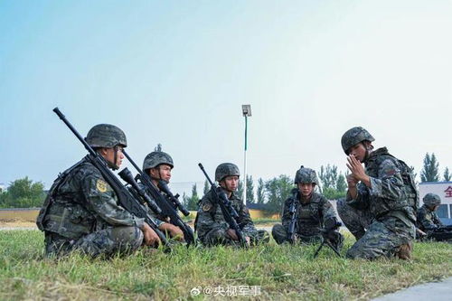 關(guān)于2024征兵報名網(wǎng)站入口的介紹與使用指南，2024征兵報名網(wǎng)站入口介紹及操作指南